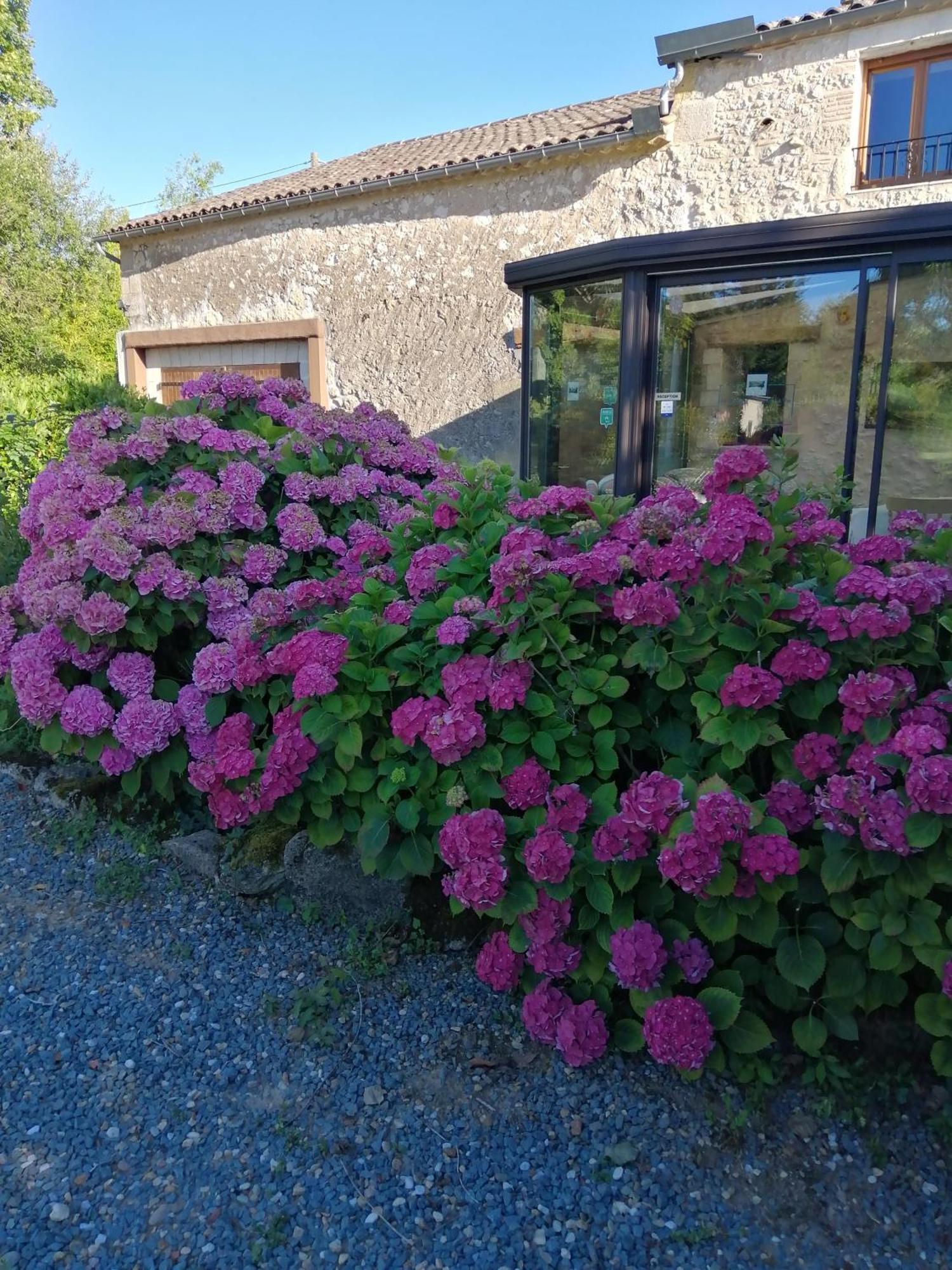 Le Grand Chemin De La Vie Bed & Breakfast Montcaret Dış mekan fotoğraf