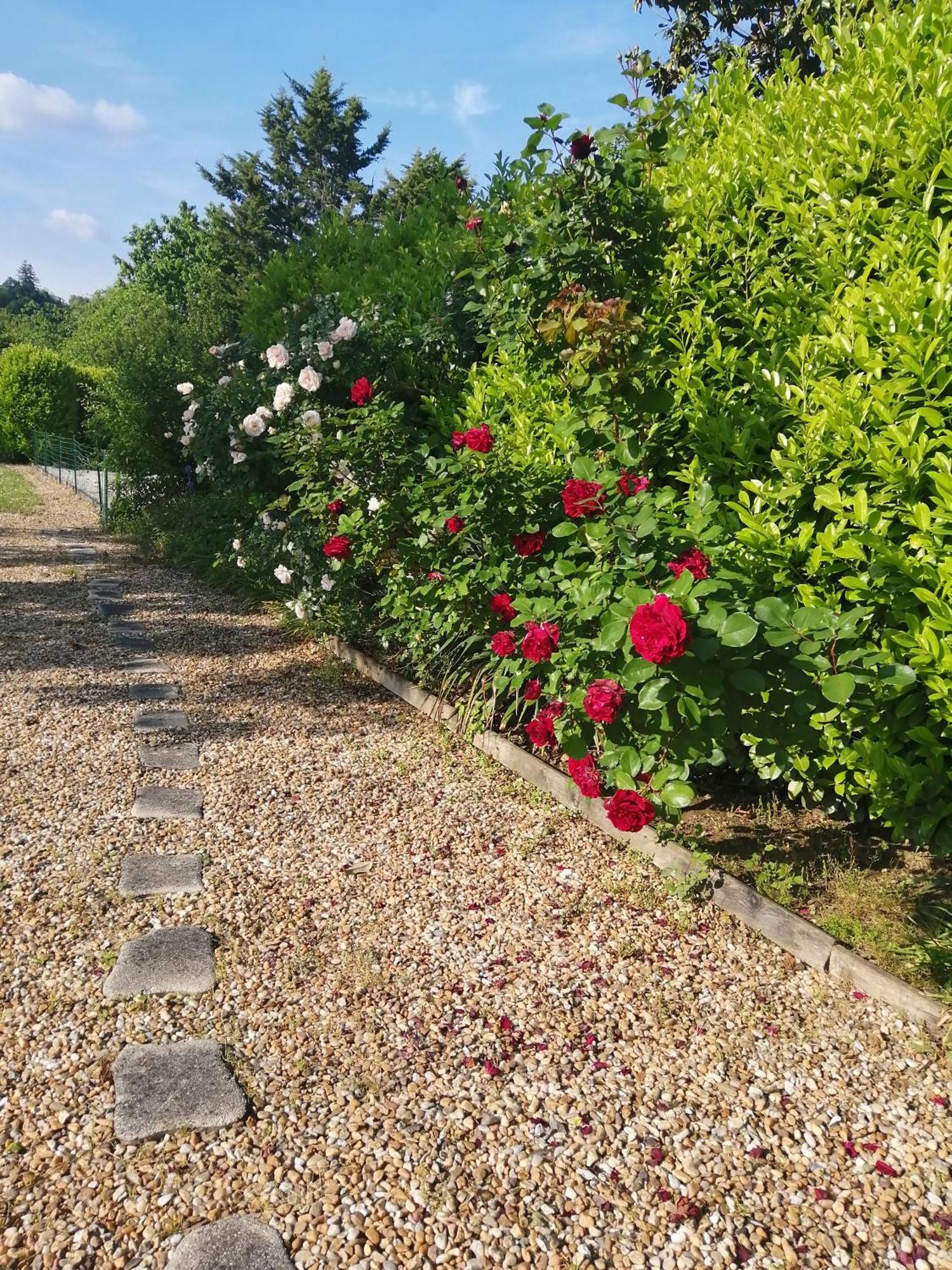 Le Grand Chemin De La Vie Bed & Breakfast Montcaret Dış mekan fotoğraf