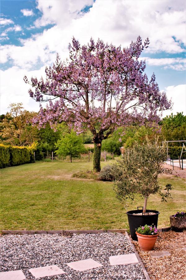 Le Grand Chemin De La Vie Bed & Breakfast Montcaret Dış mekan fotoğraf
